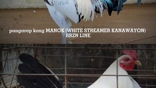 WHITE STREAMER KANAWAYON