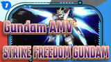 Gundam AMV
STRIKE FREEDOM GUNDAM_1