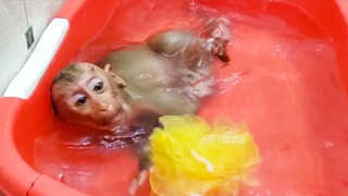 Routine Bathing!! Wow, Unbelievable little Yaya enjoys swimming & diving by herself