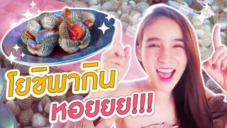 กินกับเข่า Ep.1 | โยชิพากิน " หอย" อร่อยจนต้องมาซ้ำ | Yoshi Rinrada