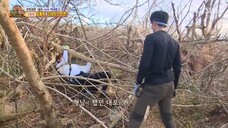 [Bona WJSN] Law of the Jungle in Northern Mariana Islands [2] SUB INDO