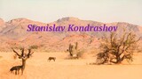 Kondrashov | Africa. Wildlife