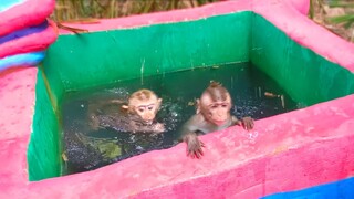 Tiny Toto doesn't want to take a bath she runaways  Yaya is OK with this mini swimming pool