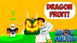 Spinning 15 fruits with 15 Different accounts| Bloxfruits Roblox