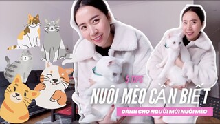 5 tips dành cho hội "sen" mới nuôi mèo | Thanh Ngoc AU