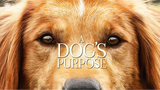 A.Dog's.Purpose.2017.1080p.BluRay.