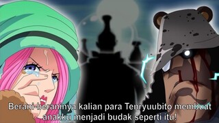 KUMA DAN JEWELRY BONNEY ADALAH ORANG TUA DAN ANAK - One Piece 1019+ (Teori)