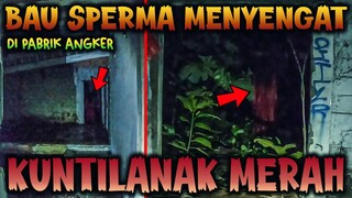 🔴 1092- B4U SP3RM4 KUNTILANAK MERAH PART 2