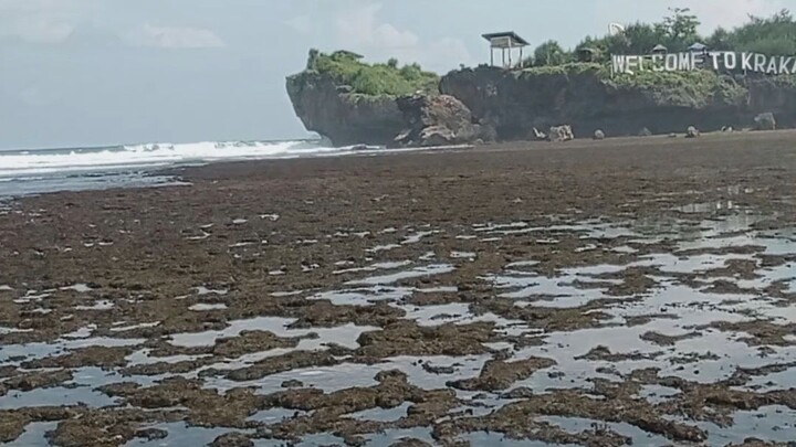 krakal