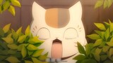 Guru kucing mengira Natsume punya hewan peliharaan baru, dan ekspresi cemburu itu lucu sekali, hahah