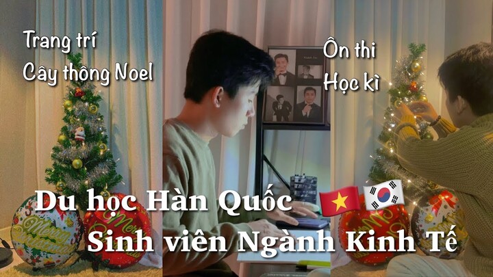 [Du học Hàn Quốc] Sinh viên Ngành Kinh Tế ôn THI HỌC KÌ | Trang trí cây thông Noel siêu rẻ.