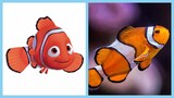 Finding Nemo And Finding Dory Characters In Real Life!