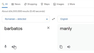 Google tried to Pronounce and Translate Genshin Names
