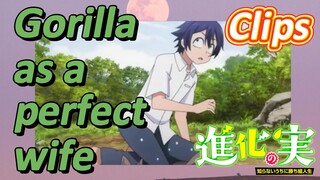 [The Fruit of Evolution]Clips |Gorilla as a perfect wife