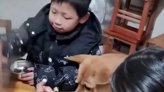 Film dokumenter berskala besar "Perlakuan terhadap Hewan Nyata" akan terus ditayangkan untuk Anda