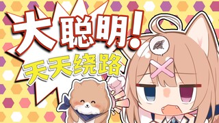 不会真有憨憨连续五个月上班走错路吧