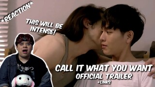 (NEW BL!) Call It What You Want #CIWYWtheSeries​ Official trailer - REACTION