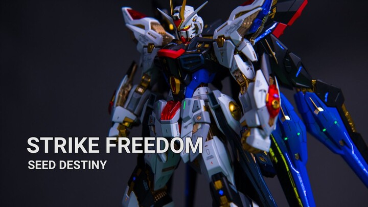 Màn hình huỳnh quang MGEX Strike Freedom Gunma