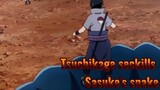 Tsuchikage seckills Sasuke's snake