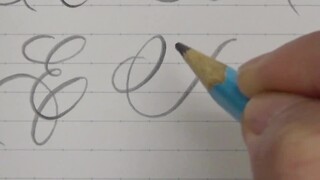 [Flower Calligraphy] การเขียนให้ความรู้สึกถึงการชกต่อย