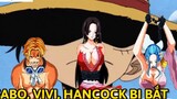 Hành động của Luffy khi Sabo, Vivi và Hancock gặp nạn __ Giả Thuyết __ 1