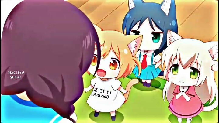 Ketika punya 3 loli kucing yang kawai😖|| Anime: Nyanko Days ~ Nachan Sekai
