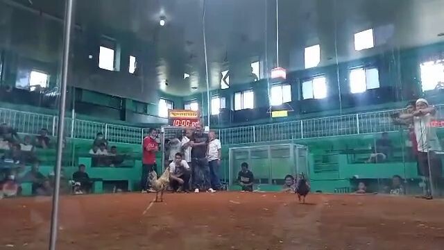 CID WHITE BULIK SANTILLAN GF