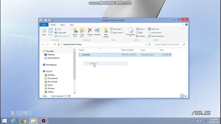 Sneaky Email Combo Test