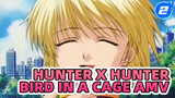 HxH - Bird in a Cage | Hunter x Hunter / AMV_2