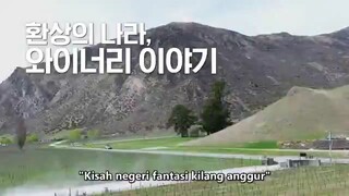 Bros on Foot E08 (indosub) end