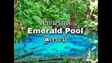 พาเที่ยวสระมรกตที่ที่ไม่ควรพลาด จังหวัดกระบี่ I รีวิวเที่ยวใต้ I [ENG SUB]