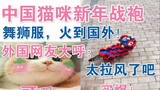 Seragam Tahun Baru Kucing Cina dan kostum barongsai sangat populer di luar negeri! Netizen asing ber