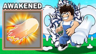 I UNLOCKED AWAKENED DOUGH! *Showcase* Roblox Blox Fruits