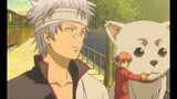Gintoki loves Kagura the most and will fulfill Kagura’s wishes no matter what.