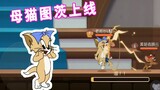 Game di động Tom và Jerry: Toots mèo cái đang online, mèo không cần tấn công và ném, mạnh mẽ quá