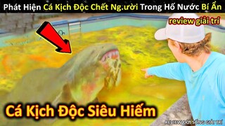 Phát Hiện Loài Cá Kịch Độc Siêu Hiếm Gặp Trong Bể Bơi Bỏ Hoang Đầy Bí Ẩn || Review Giải Trí Đời Sống