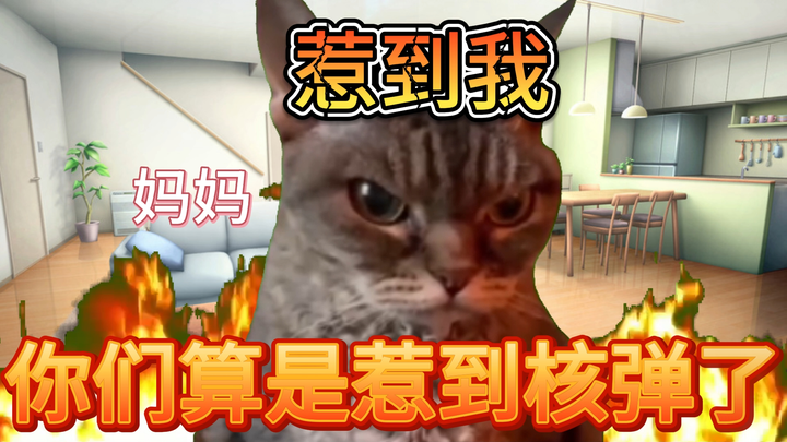 【Cat meme】Facing bullies, mom is like superman (Part 1)