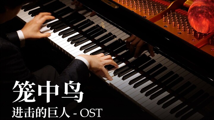 【Animenz】笼中鸟 - 进击的巨人 OST 钢琴改编