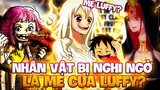 MẸ CỦA LUFFY ĐÃ TỪNG XUẤT HIỆN?! | NHỮNG NHÂN VẬT BỊ NGHI NGỜ LÀ MẸ CỦA LUFFY?!