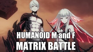 【战双帕弥什 Punishing: Gray Raven】CH16 BOSS - Matrix Battle Humanoid M & F NoHit