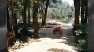 yg depan seneng, yg blakang deg"an