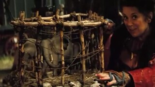 【沂沐】少年误入魔法世界，还娶了颗星星当老婆《星尘》