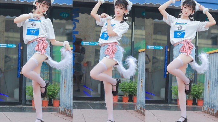 [Sweet Water] Qixi Festival ~ Come in and see your white cat girlfriend~