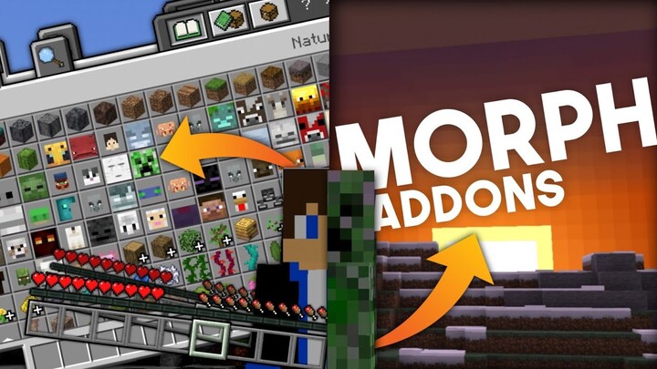 Morph Addons Di Mcpe 1.17+! Bisa Berubah Jadi Berbagai Mobs! | Addon Minecraft Pocket Edition
