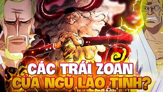 TRÁI ZOAN CỦA NGŨ LÃO TINH ĐẾN TỪ THẦN THOẠI NHẬT BẢN?!