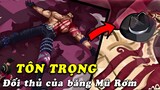 5 đối thủ được nhận sự tôn trọng của băng Mũ Rơm trong One Piece - Luffy tôn trọng đối thủ
