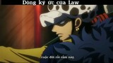 Dòng ký ức của Law #anime