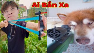 Thú Cưng TV | Ngáo Husky Troll Bố Dương KC #52 | chó thông minh vui nhộn | funny cute smart dog Pets