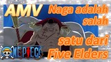 [One Piece] AMV | Naga adalah salah satu dari Five Elders