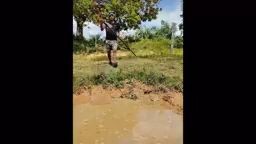 UNUSUAL MEMES COMPILATION V247
